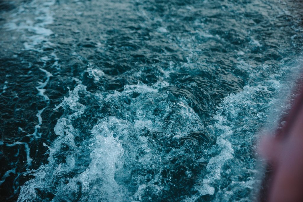 photographe famille grossesse cherbourg les pieux la hague