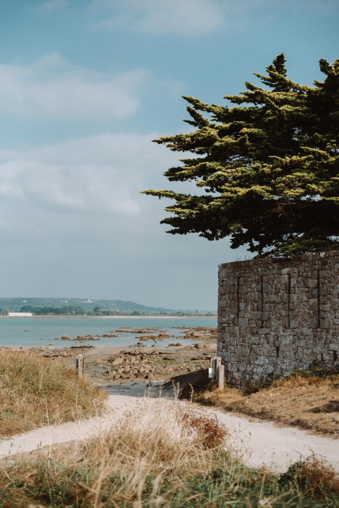 photographe famille grossesse cherbourg les pieux la hague