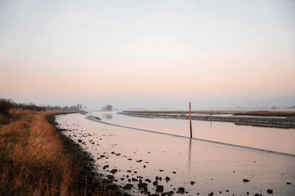 photographe famille grossesse cherbourg les pieux la hague