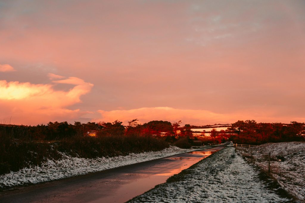 photographe famille grossesse cherbourg les pieux la hague