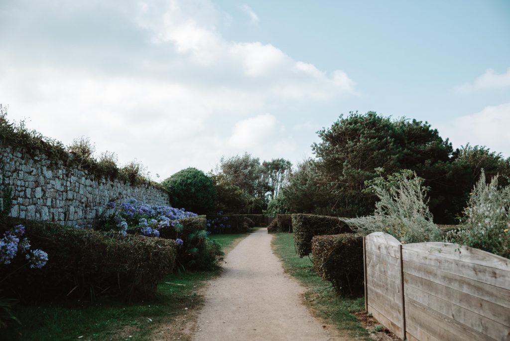 photographe famille grossesse cherbourg les pieux la hague