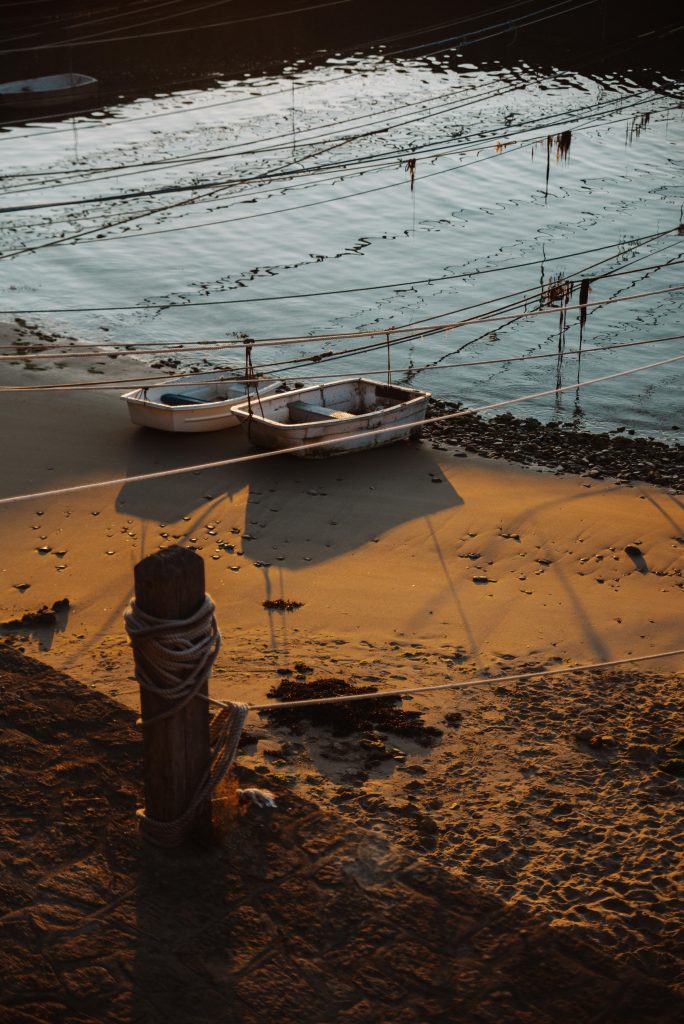 photographe famille grossesse cherbourg les pieux la hague