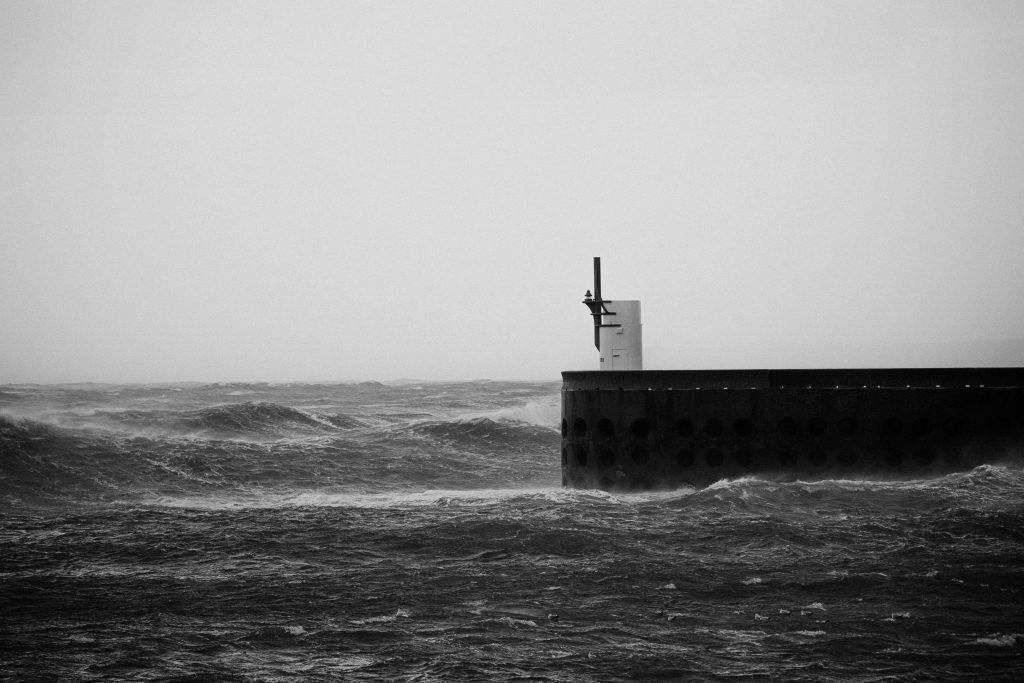 photographe famille grossesse cherbourg les pieux la hague