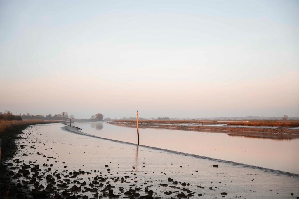 photographe famille grossesse cherbourg les pieux la hague