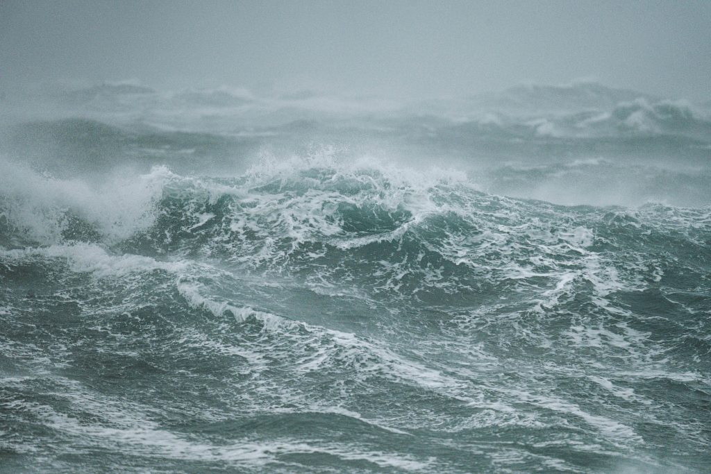 photographe famille grossesse cherbourg les pieux la hague