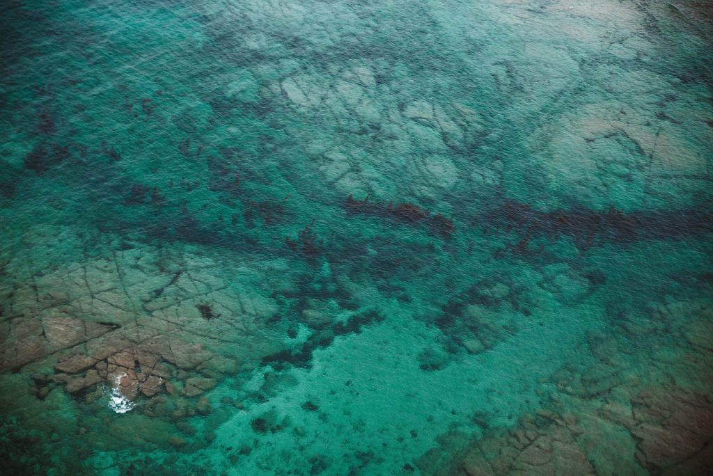 photographe famille grossesse cherbourg les pieux la hague