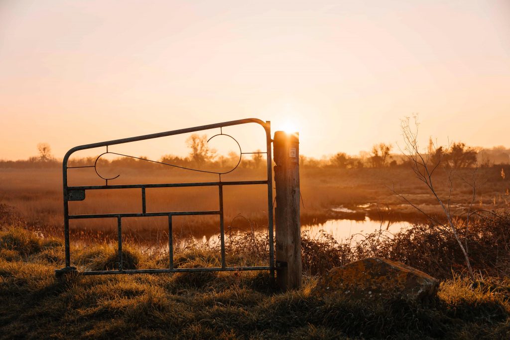 photographe famille grossesse cherbourg les pieux la hague
