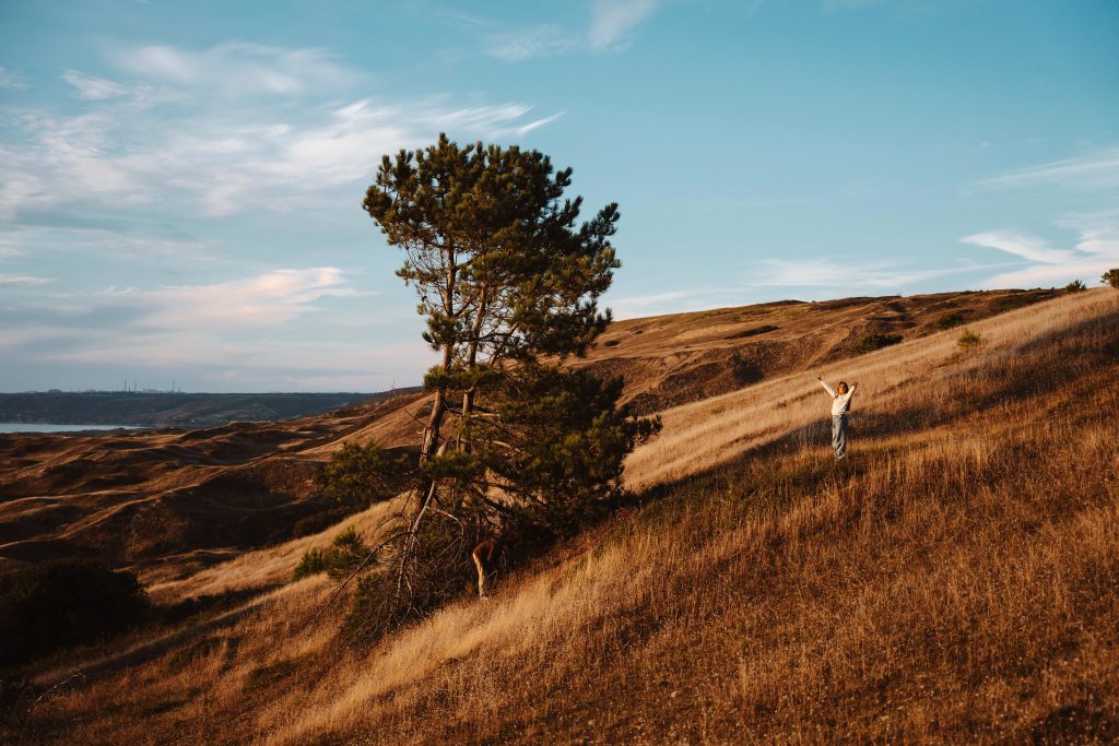 photographe famille grossesse cherbourg les pieux la hague