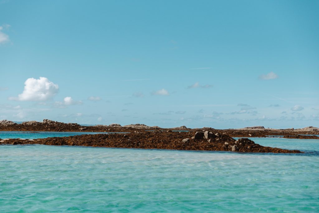 photographe famille grossesse cherbourg les pieux la hague