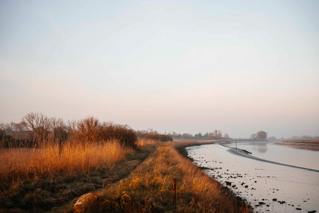 photographe famille grossesse cherbourg les pieux la hague