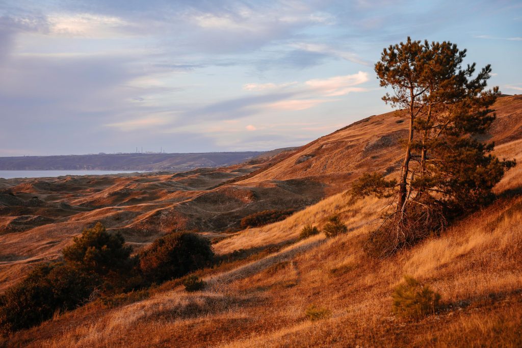 photographe famille grossesse cherbourg les pieux la hague