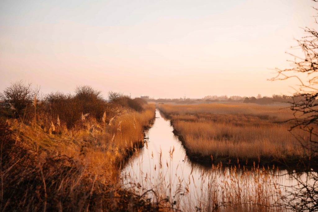 photographe famille grossesse cherbourg les pieux la hague